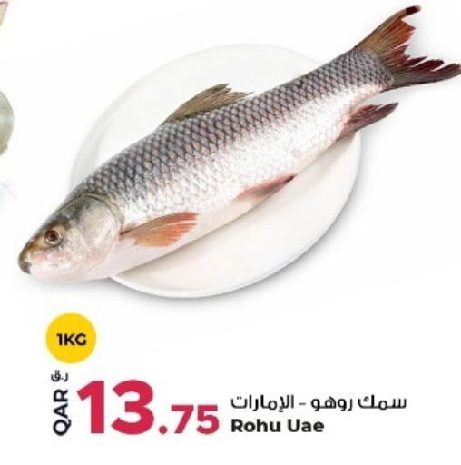 available at روابي هايبرماركت in قطر - الخور
