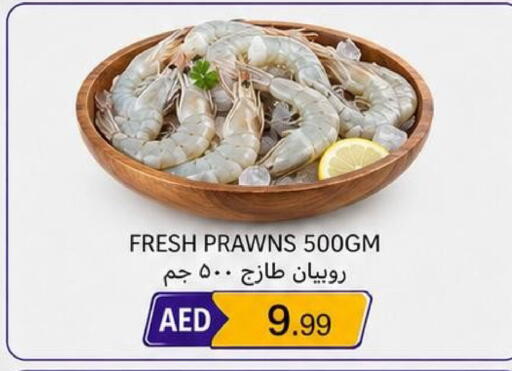 available at Rawabi Market Ajman in UAE - Sharjah / Ajman