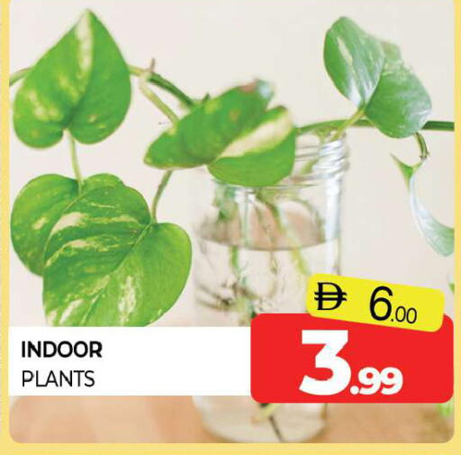 available at Al Madina  in UAE - Sharjah / Ajman