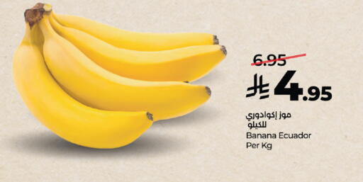 Banana from Ecuador available at لولو هايبرماركت in مملكة العربية السعودية, السعودية, سعودية - تبوك