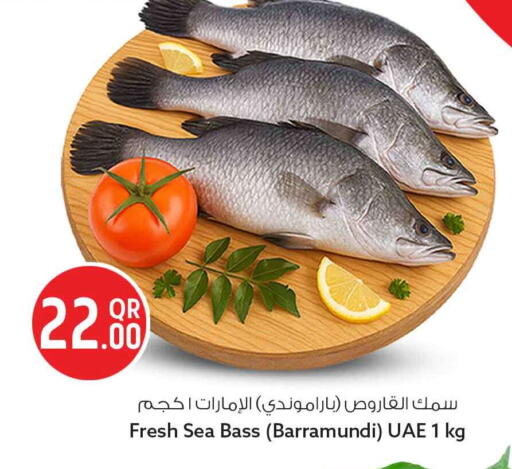 available at سفاري هايبر ماركت in قطر - الخور
