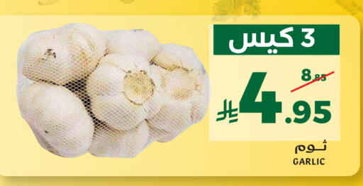 Garlic available at ميرا مارت مول in مملكة العربية السعودية, السعودية, سعودية - جدة