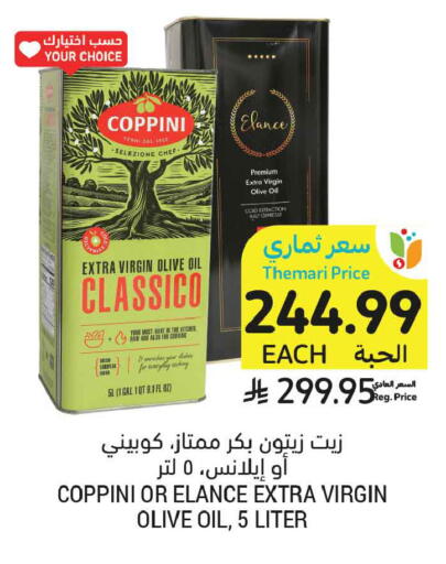 Kale available at أسواق التميمي in مملكة العربية السعودية, السعودية, سعودية - تبوك