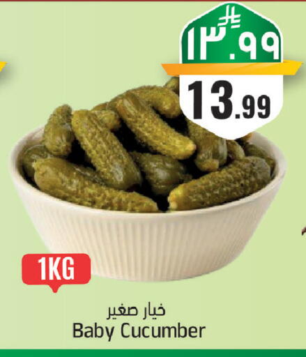 Cucumber available at City Flower in KSA, Saudi Arabia, Saudi - Sakaka