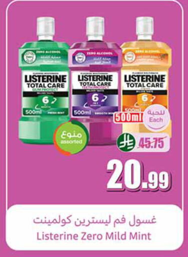 Mint available at أسواق عبد الله العثيم in مملكة العربية السعودية, السعودية, سعودية - تبوك