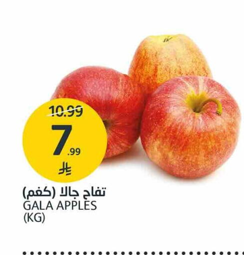 available at AlJazera Shopping Center in KSA, Saudi Arabia, Saudi - Riyadh