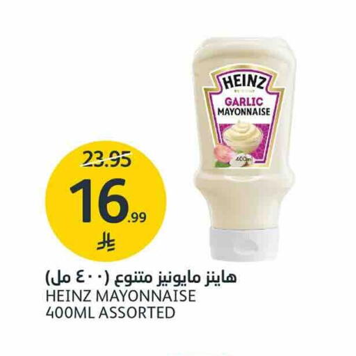 Garlic available at AlJazera Shopping Center in KSA, Saudi Arabia, Saudi - Riyadh