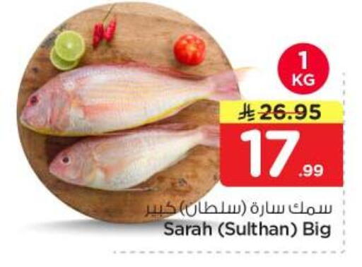 available at نستو in مملكة العربية السعودية, السعودية, سعودية - الخرج