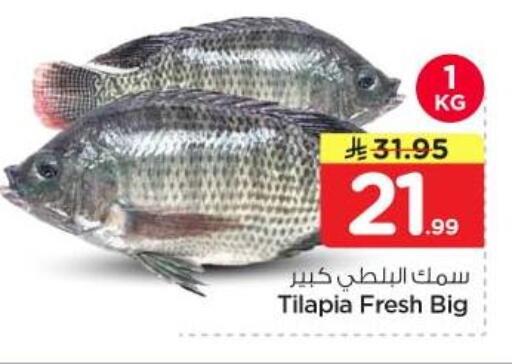available at نستو in مملكة العربية السعودية, السعودية, سعودية - الخرج