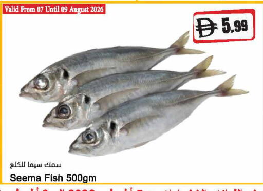 available at Almaya Supermarkets in UAE - Abu Dhabi