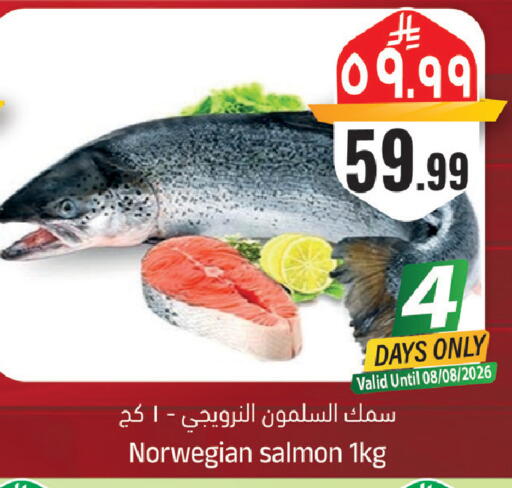 available at ستي فلاور in مملكة العربية السعودية, السعودية, سعودية - سكاكا