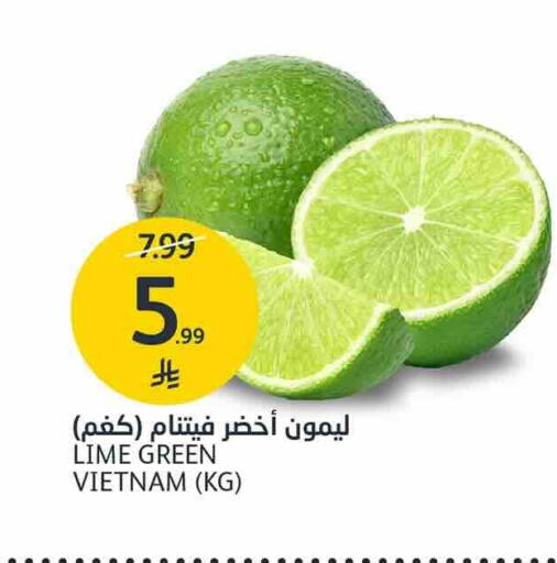 from Vietnam available at AlJazera Shopping Center in KSA, Saudi Arabia, Saudi - Riyadh