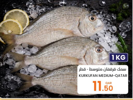 available at البلدي اليوم in قطر - الخور