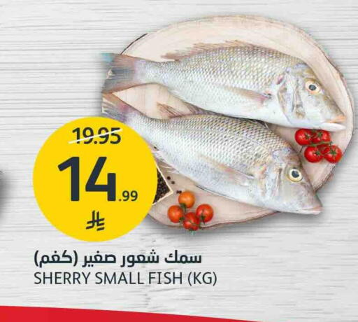 available at AlJazera Shopping Center in KSA, Saudi Arabia, Saudi - Riyadh