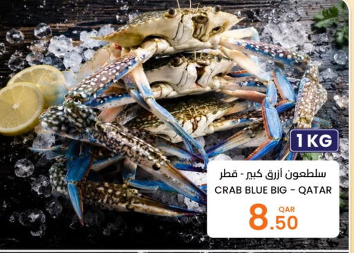 available at البلدي اليوم in قطر - الخور