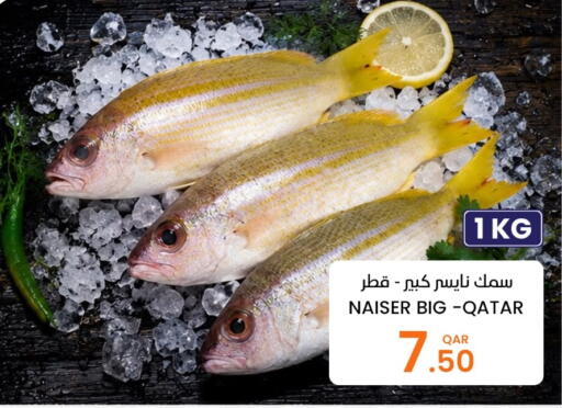 available at البلدي اليوم in قطر - الخور
