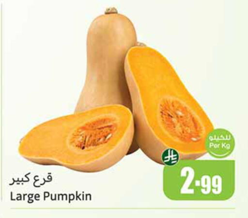 Pumpkin available at أسواق عبد الله العثيم in مملكة العربية السعودية, السعودية, سعودية - تبوك