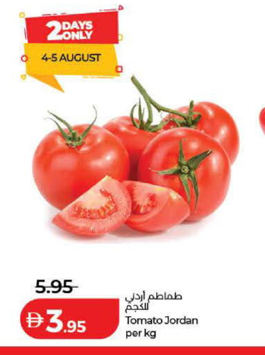 Tomato from Jordan available at لولو هايبرماركت in الإمارات العربية المتحدة , الامارات - الشارقة / عجمان