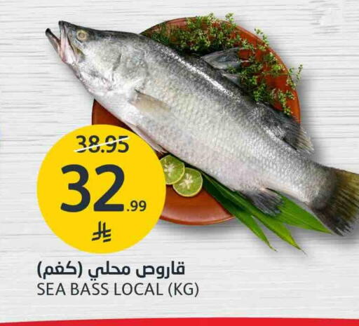 available at AlJazera Shopping Center in KSA, Saudi Arabia, Saudi - Riyadh