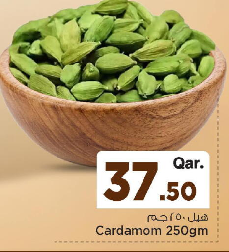 Cardamom available at مارك & سيف in قطر - الضعاين