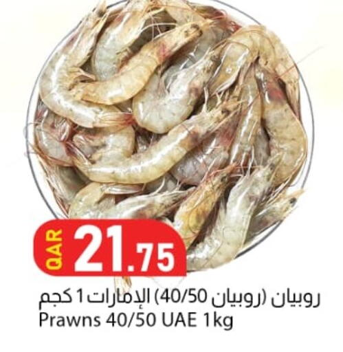 available at Dana Market in Qatar - Al Shamal