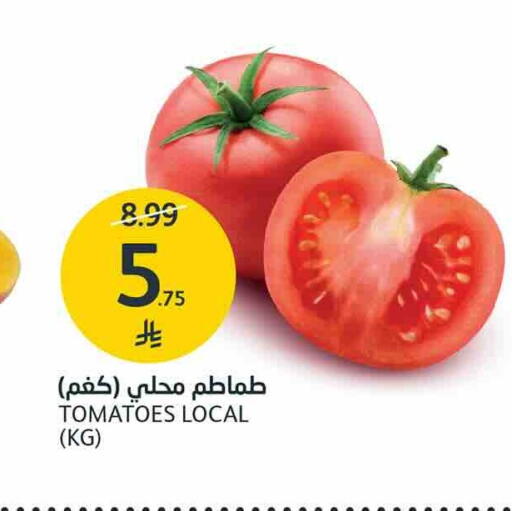 Tomato available at AlJazera Shopping Center in KSA, Saudi Arabia, Saudi - Riyadh