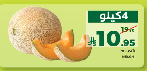 Melon available at ميرا مارت مول in مملكة العربية السعودية, السعودية, سعودية - جدة
