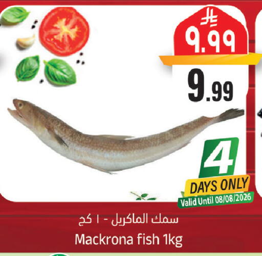 available at ستي فلاور in مملكة العربية السعودية, السعودية, سعودية - سكاكا