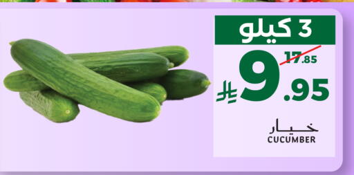 Cucumber available at ميرا مارت مول in مملكة العربية السعودية, السعودية, سعودية - جدة