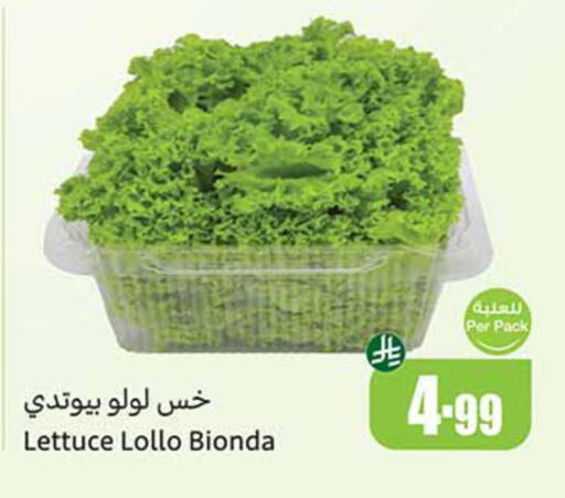 Lettuce available at أسواق عبد الله العثيم in مملكة العربية السعودية, السعودية, سعودية - تبوك