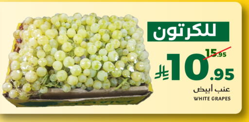 Grapes available at ميرا مارت مول in مملكة العربية السعودية, السعودية, سعودية - جدة