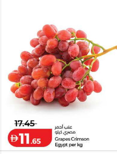 Grapes from Egypt available at Lulu Hypermarket in UAE - Dubai
