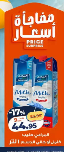 available at Kazyon  in Egypt - Cairo