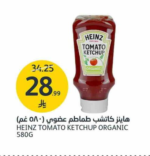 Tomato available at AlJazera Shopping Center in KSA, Saudi Arabia, Saudi - Riyadh