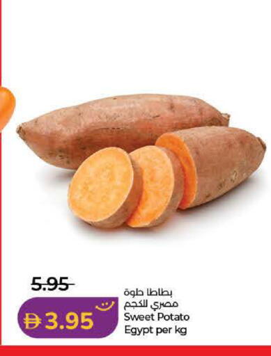 Sweet Potato from Egypt available at لولو هايبرماركت in الإمارات العربية المتحدة , الامارات - الشارقة / عجمان