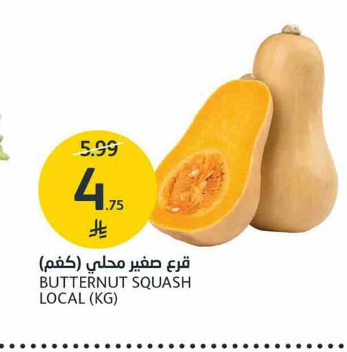 Squash available at AlJazera Shopping Center in KSA, Saudi Arabia, Saudi - Riyadh