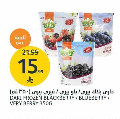 Blackberry Blueberry BlueBerry available at AlJazera Shopping Center in KSA, Saudi Arabia, Saudi - Riyadh