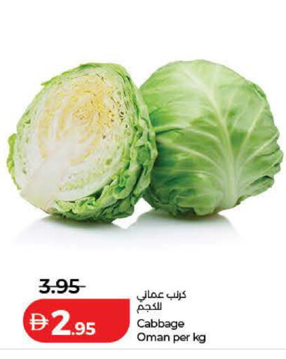 Cabbage from Oman available at لولو هايبرماركت in الإمارات العربية المتحدة , الامارات - الشارقة / عجمان