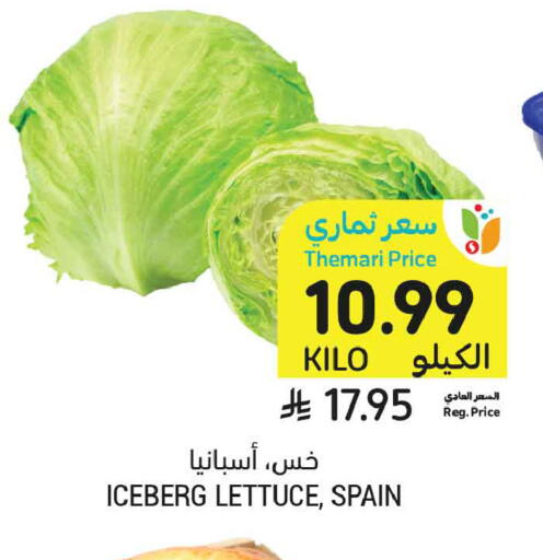 Lettuce from Spain available at أسواق التميمي in مملكة العربية السعودية, السعودية, سعودية - تبوك