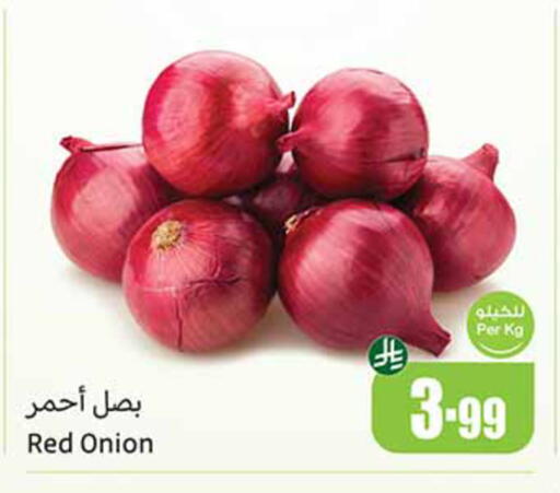 Onion available at أسواق عبد الله العثيم in مملكة العربية السعودية, السعودية, سعودية - تبوك
