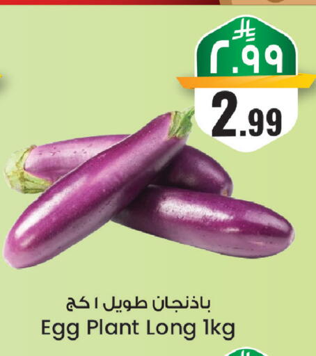 available at City Flower in KSA, Saudi Arabia, Saudi - Sakaka
