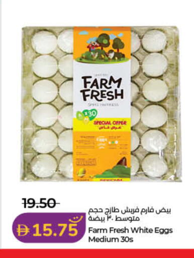 available at لولو هايبرماركت in الإمارات العربية المتحدة , الامارات - رَأْس ٱلْخَيْمَة
