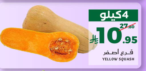 Squash available at ميرا مارت مول in مملكة العربية السعودية, السعودية, سعودية - جدة