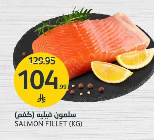 available at أسواق الجزيرة in مملكة العربية السعودية, السعودية, سعودية - الرياض