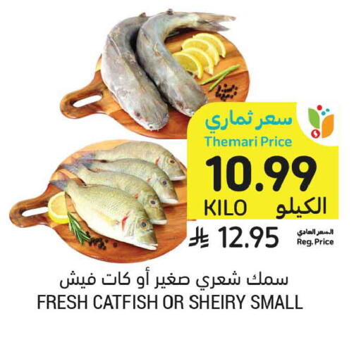 available at أسواق التميمي in مملكة العربية السعودية, السعودية, سعودية - تبوك