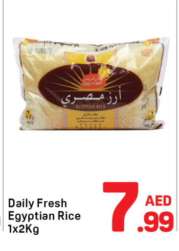 available at Day to Day Department Store in UAE - Dubai