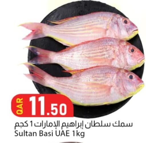 available at Dana Market in Qatar - Al Shamal