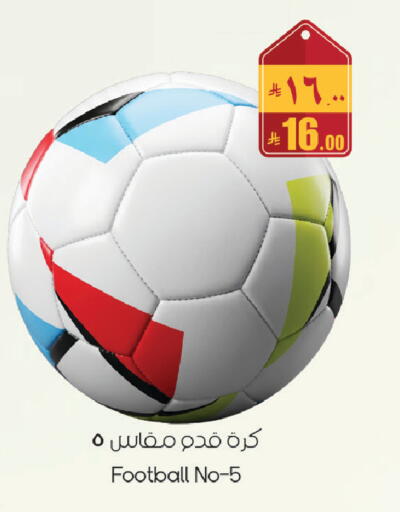 available at City Flower in KSA, Saudi Arabia, Saudi - Sakaka