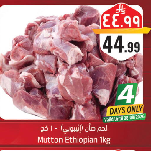 available at City Flower in KSA, Saudi Arabia, Saudi - Sakaka