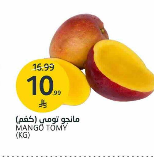 Mango available at AlJazera Shopping Center in KSA, Saudi Arabia, Saudi - Riyadh